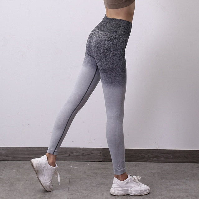 Women Gym Workout Clothing