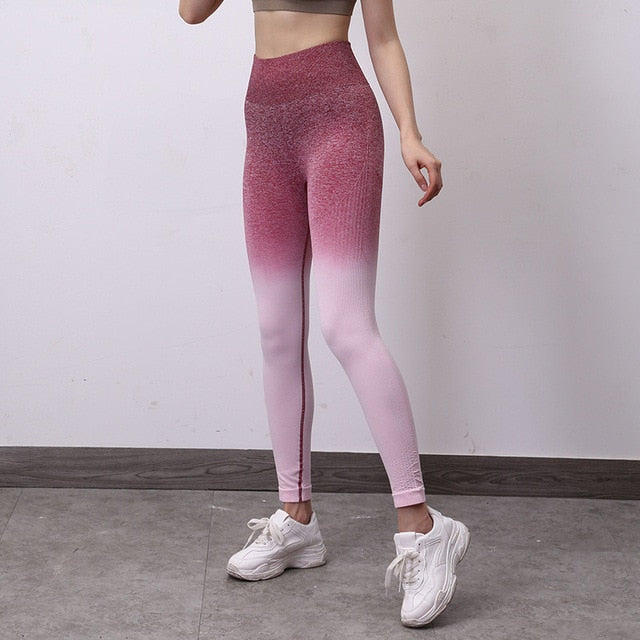 Women Gym Workout Clothing